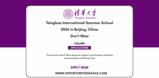 Tsinghua International Summer School