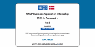 UNDP Business Operation Internship 2026