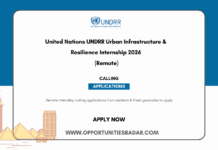 UNDRR Urban Infrastructure & Resilience Internship 2026 (Remote)
