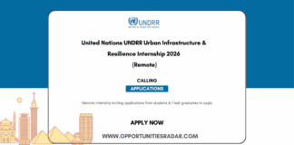 UNDRR Urban Infrastructure & Resilience Internship 2026 (Remote)