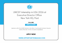 UNICEF Internship in USA 2026 at Executive Director Office New York HQ, Paid UNICEF Internship in USA 2026 at Executive Director Office