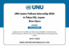 UNU Junior Fellows Internship 2026-27