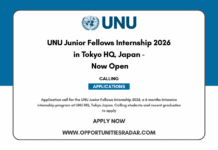 UNU Junior Fellows Internship 2026-27