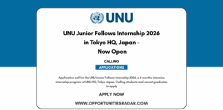 UNU Junior Fellows Internship 2026-27
