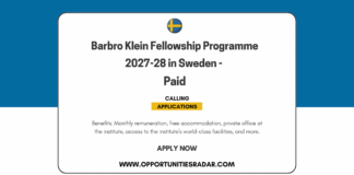 Barbro Klein Fellowship Programme 2027-28
