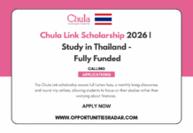 Chula Link Scholarship 2026