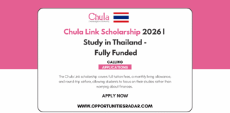 Chula Link Scholarship 2026