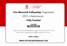 Eric Bleumink Fellowship 2027 in Netherlands