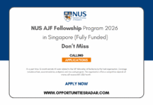 NUS AJF Fellowship Programme 2026