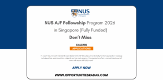 NUS AJF Fellowship Programme 2026