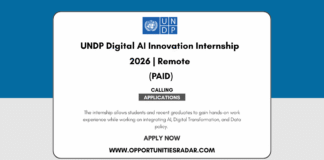UNDP Digital AI Innovation Internship 2026