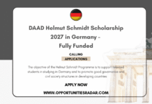 DAAD Helmut Schmidt Scholarship 2027