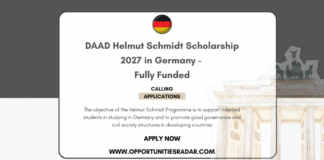 DAAD Helmut Schmidt Scholarship 2027