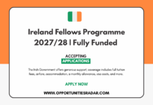Ireland Fellows Programme 2027