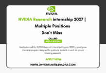 NVIDIA Research internship Program 2027