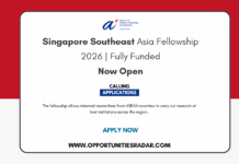 Singapore Southeast Asia Fellowship 2026