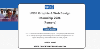 UNDP Graphic & Web Design Internship 2026 (Remote)