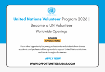 United Nations Volunteer Programme 2026