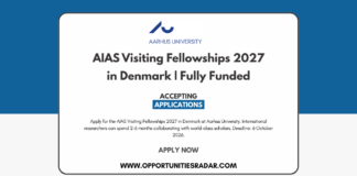 AIAS Visiting Fellowships 2027
