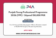 Punjab Young Professional Programme 2026
