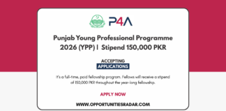 Punjab Young Professional Programme 2026