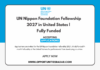 UN Nippon Foundation Fellowship 2027