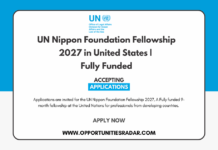 UN Nippon Foundation Fellowship 2027