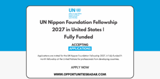 UN Nippon Foundation Fellowship 2027