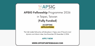 APSIG Fellowship Programme 2026