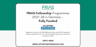 FRIAS Fellowship Programmes 2027