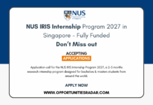 NUS IRIS Internship Program 2027
