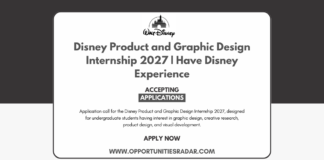 Disney Product and Graphic Design Internship 2027