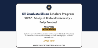 EIT Graduate Ellison Scholars Program 2027