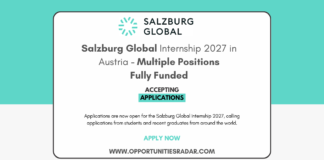 Salzburg Global Internship 2027