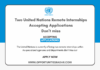 Two United Nations Remote Internships