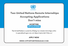 Two United Nations Remote Internships