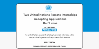 Two United Nations Remote Internships