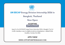 UN ESCAP Energy Division Internship 2026