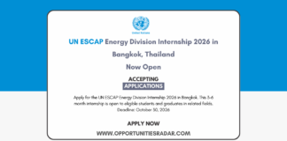 UN ESCAP Energy Division Internship 2026