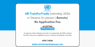 UN TrainForTrade Internship 2026