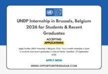 UNDP Internship in Belgium 2026