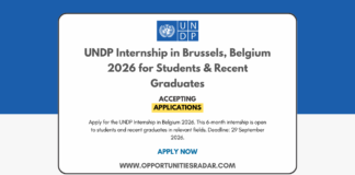UNDP Internship in Belgium 2026