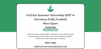 CaCtus Summer Internship 2027 in Germany