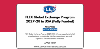 FLEX Global Exchange Program 2027