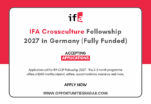 IFA CCP Fellowship 2027 in Germany