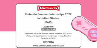 Nintendo Summer Internships 2027 in United States