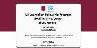 UN Journalism Fellowship 2027