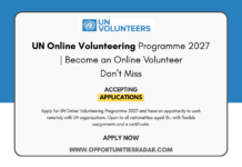 UN Online Volunteering Programme 2027 | Become an Online Volunteer UN Online Volunteering Programme 2027