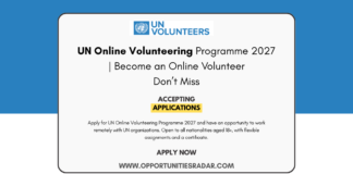 UN Online Volunteering Programme 2027