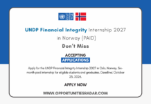 UNDP Financial Integrity Internship 2027